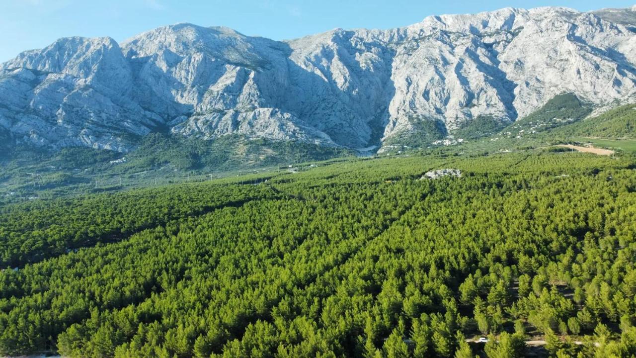 Tinel Boutique Apartment Promajna Εξωτερικό φωτογραφία